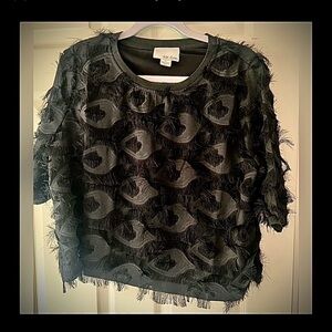 Feathered embroidery cropped blouse